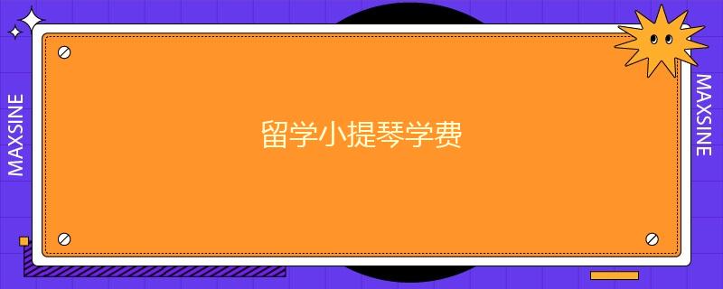 留学小提琴学费