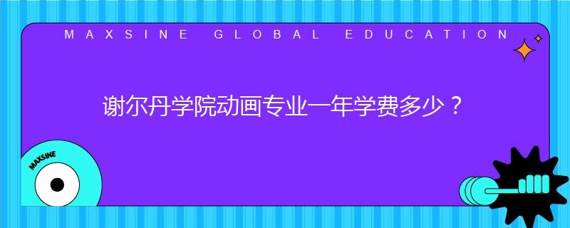 谢尔丹学院动画专业一年学费多少？
