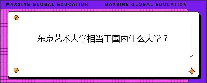 东京艺术大学相当于国内什么大学？